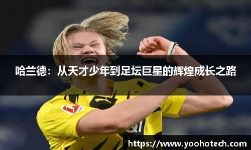 米兰体育官网