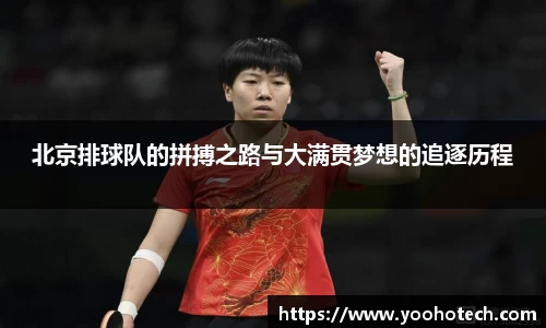 北京排球队的拼搏之路与大满贯梦想的追逐历程
