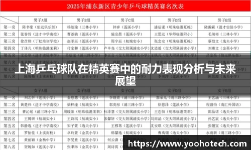 上海乒乓球队在精英赛中的耐力表现分析与未来展望